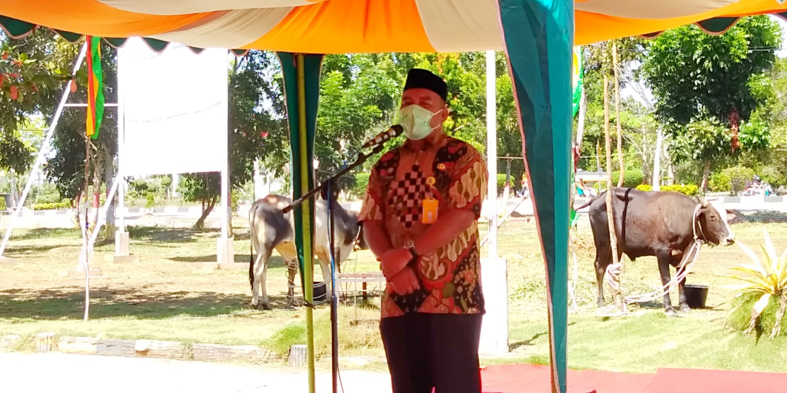 Idul Adha 1442 H, DLH Rokan Hilir Qurban 9 Ekor Sapi