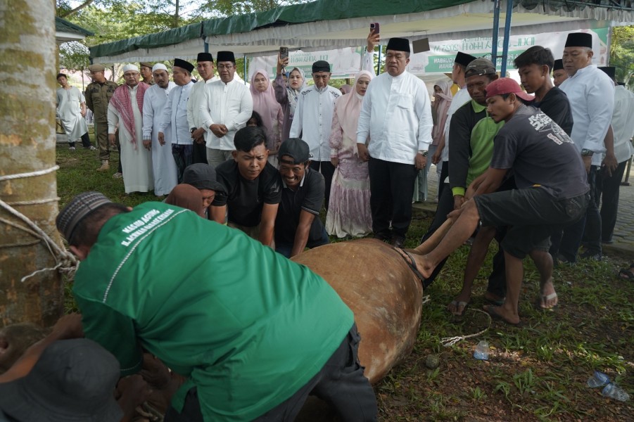 Bupati Asahan Pantau Penyembelihan 111 Hewan Kurban dalam Kegiatan Idul Adha Pemerintah Kabupaten Asahan
