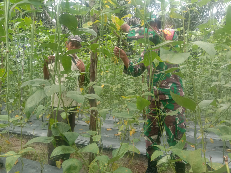 Temui Andak, Serda Priyo Sudarmo Laksanakan Pendampingan Karya Nyata