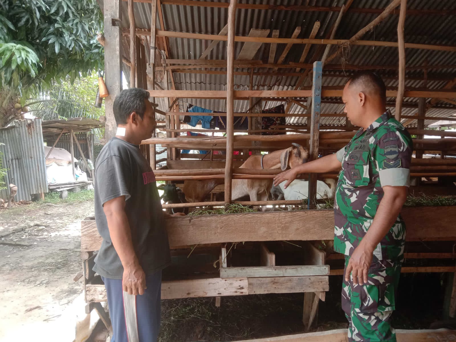 Sertu Sutiono Laksanakan Sosialisasi Pencegahan PMK