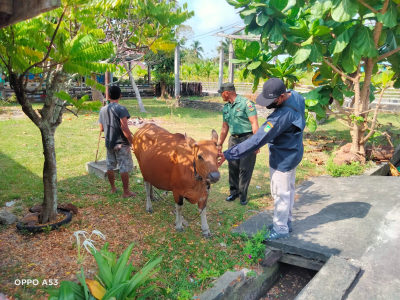 Serda Ansari Cek Hewan Ternak di Wilayah Binaannya
