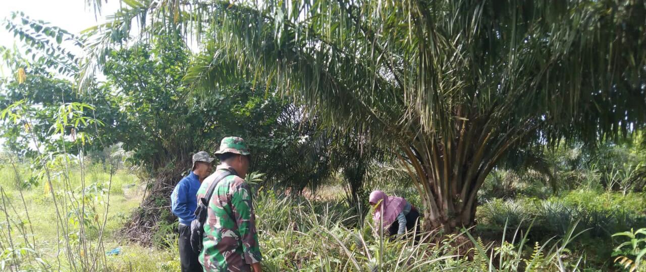 Serda Harmaini Patroli di Kawasan Hutan Dumai Motor