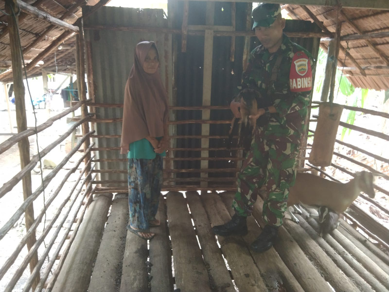 Pencegahan PMK Dilaksanakan Oleh Kopda Ricko Yuspranata