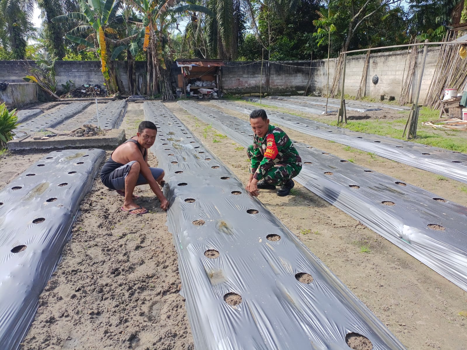 Pendampingan Karya Nyata Oleh Serda Andi Kepada Petani Mentimun