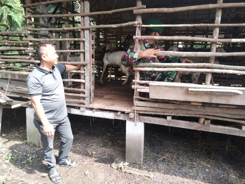 Sertu Sugianto Berikan Pemahaman Terkait Pencegahan PMK