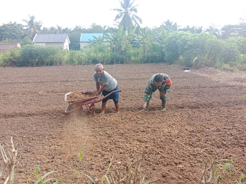 Babinsa Kodim 0320/Dumai Dampingi Karya Nyata Tanaman Sayur