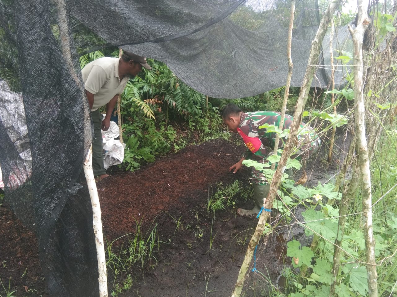 Kopda Andri Waluyo Dampingi Petani Kacang Panjang dan Berikan Pengarahan Mengenai Karhutla