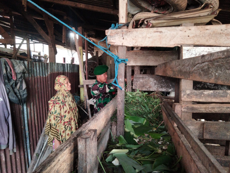 Babinsa Sertu Sugianto Sosialisasikan Pencegahan PMK pada Peternak Sapi di Bukit Timah