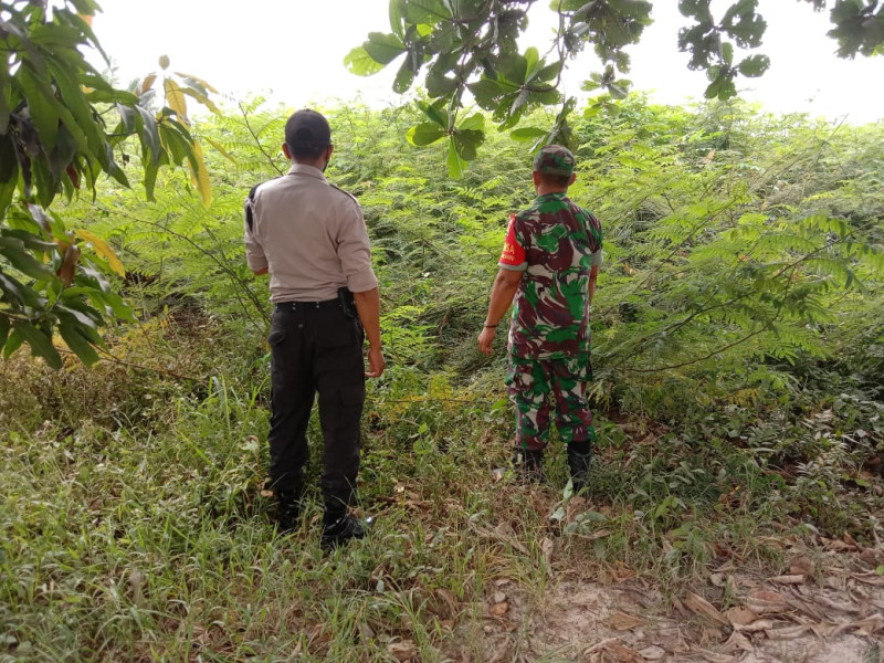 Patroli Wilayah Cegah Karhutla Oleh Sertu Jainal Arifin