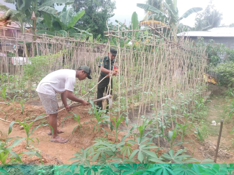 Sertu Nono Berikan Pendampingan Kepada Petani