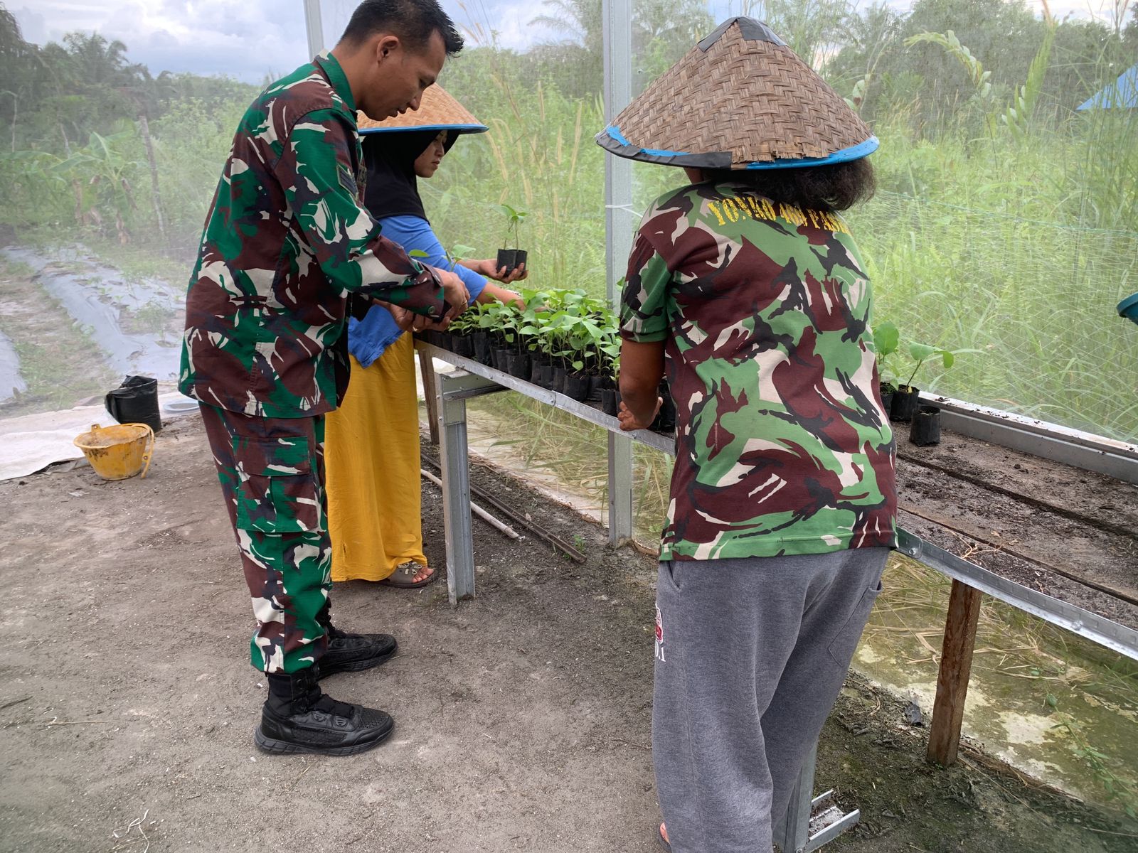 Serka Tomy Mike Dampingi Kelompok Tani Tanam Terong