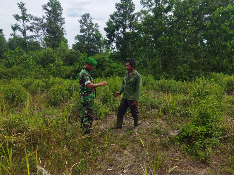 Babinsa Koramil-01/Dumai Lakukan Patroli Karhutla di Kelurahan Ratu Sima
