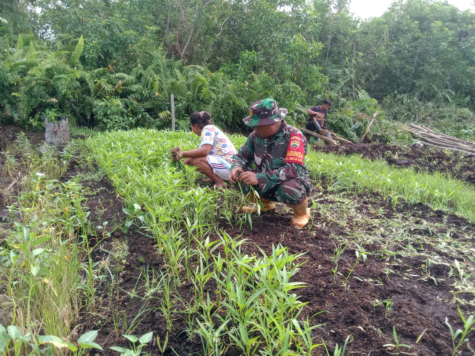 Pendampingan Karya Nyata Petani Kangkung Oleh Serka Suandi