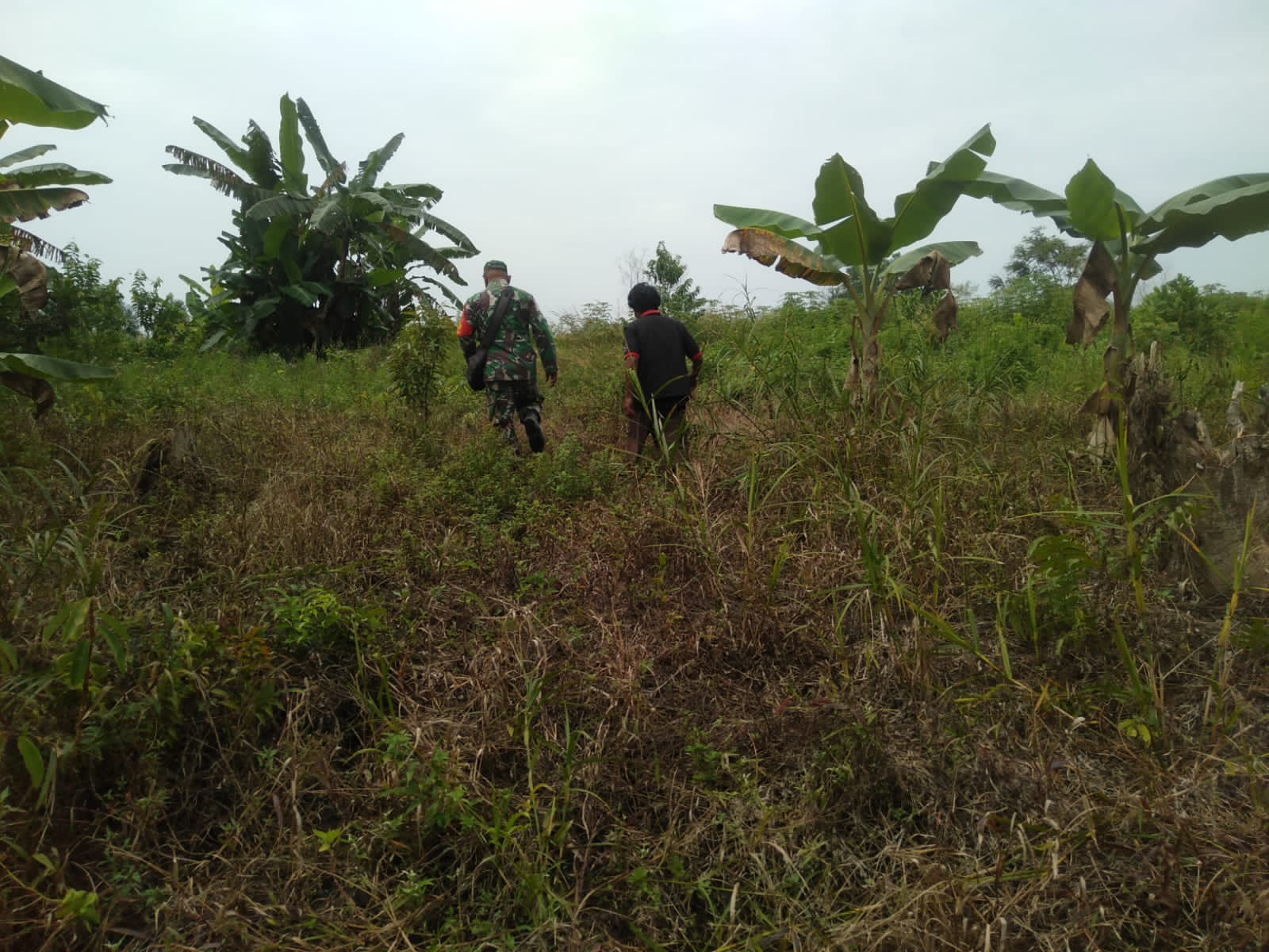 Serka Fahrizal Purba Ingatkan Masyarakat Bahaya Karhutla