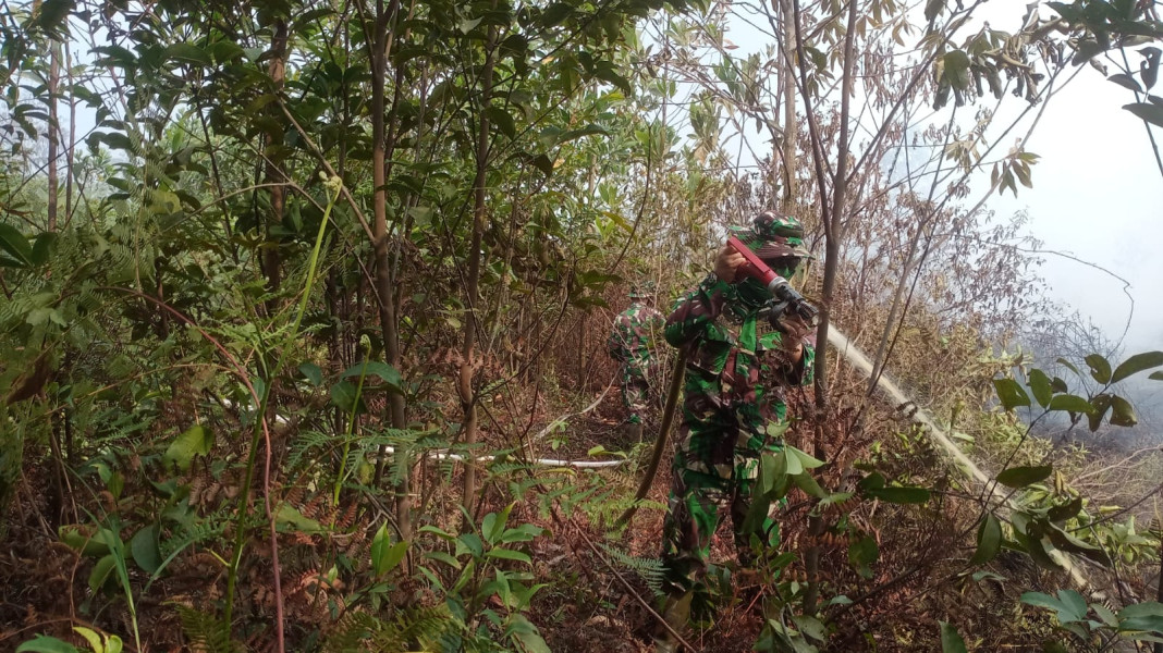 Kapten Arh M.I Daulay Ikut Turun Langsung Bantu Pemadaman Kebakaran Hutan