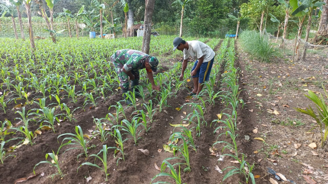 Misno Dapatkan Pendampingan Dari Sertu Roni Sandra