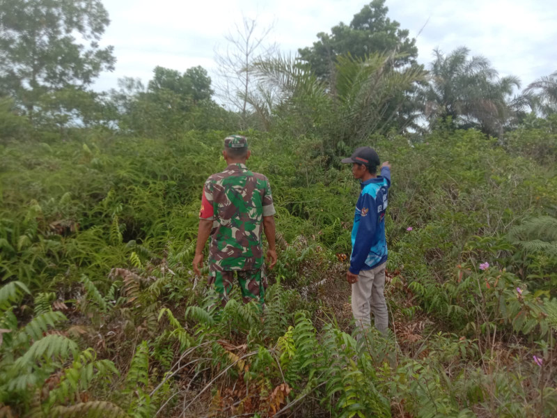 Babinsa Mundam Laksanakan Patroli Karlahut, Tekankan Larangan Bakar Lahan