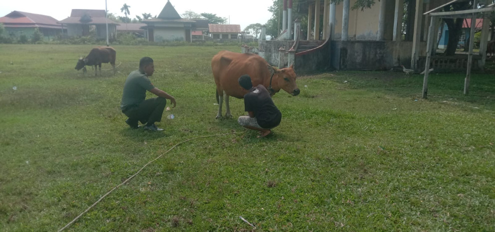 Giat Pratu Rahmad Laksanakan Pencegahan PMK