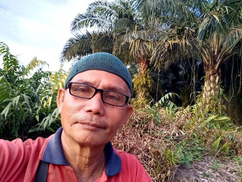 Sudah Sesuai Prosedur, Koperasi BBDM Bantah Dugaan Penyimpangan Pengelolaan Lahan Plasma di Bukit Batu