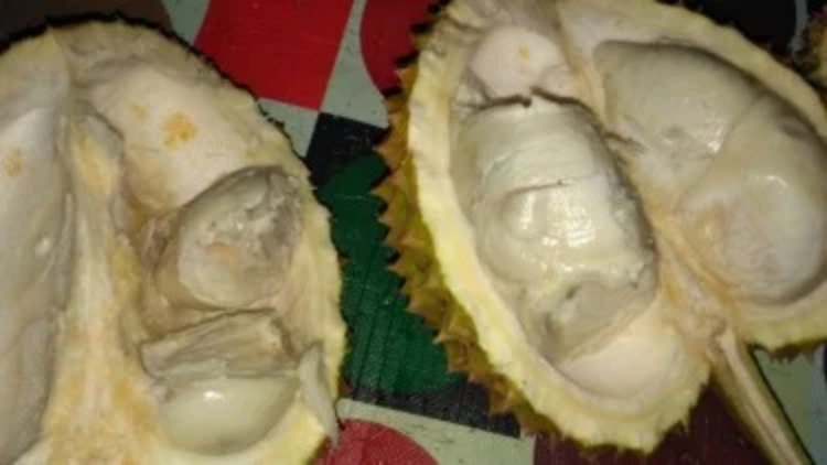 Konsumsi Durian Bisa Tingkatkan Libido, Mitos atau Fakta?