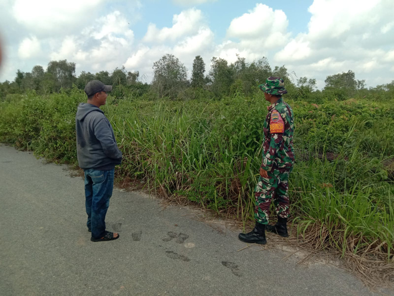 Babinsa Kelurahan Bagan Keladi Intensifkan Patroli Karhutla di Wilayah Rawan