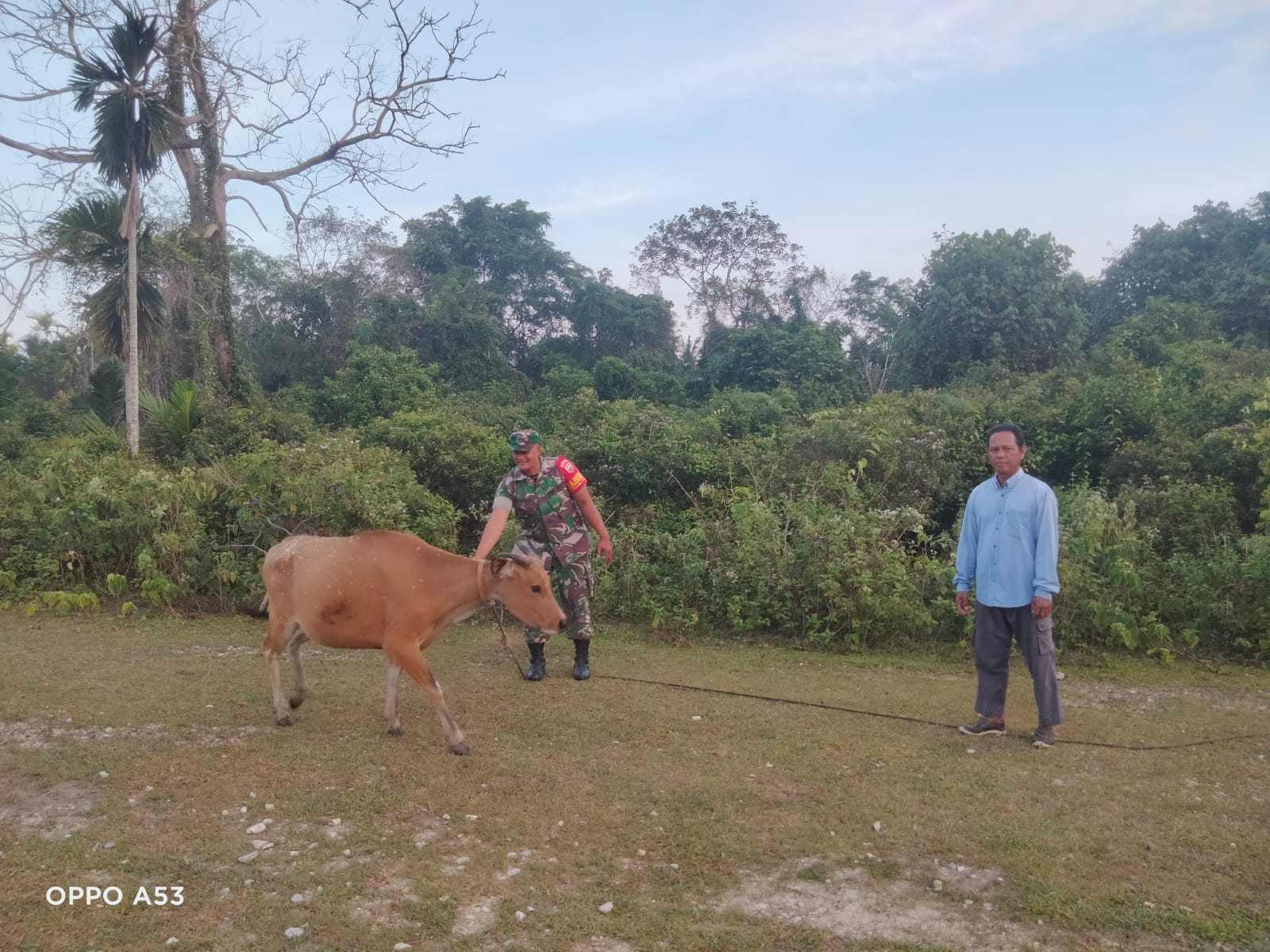 Tingkatkan Kewaspadaan Terhadap PMK, Serda Ansari Lakukan Pemantauan