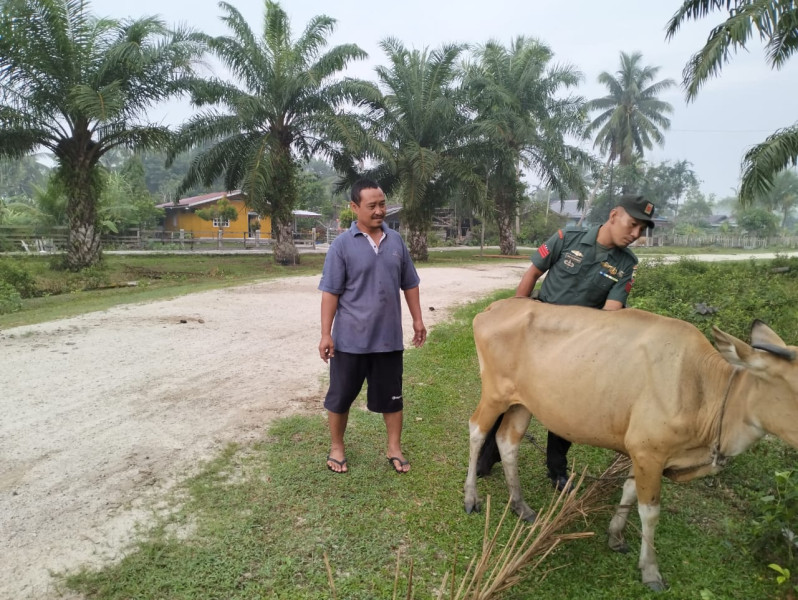 Praka Onki Ajak Semuanya Bersama-sama Cegah PMK