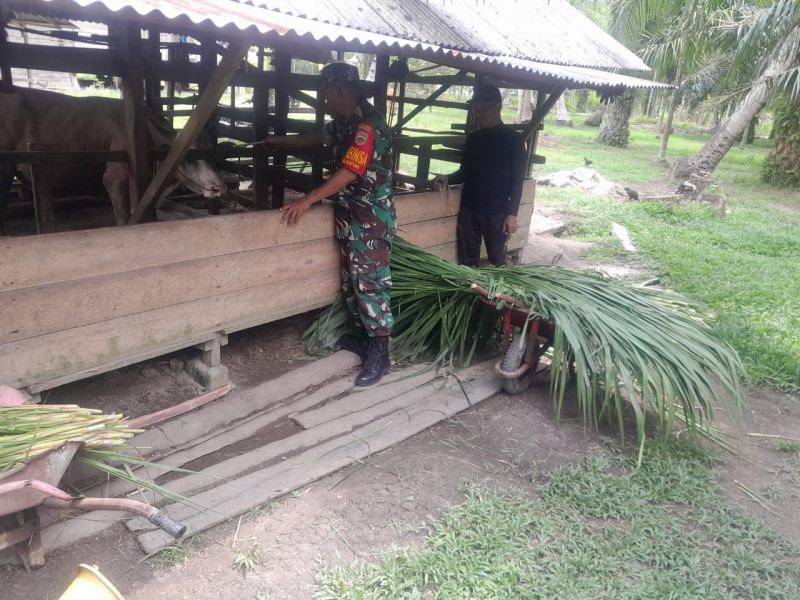 Cegah PMK, Serka M Aslim Lubis Lakukan Sosialisasi Pencegahan