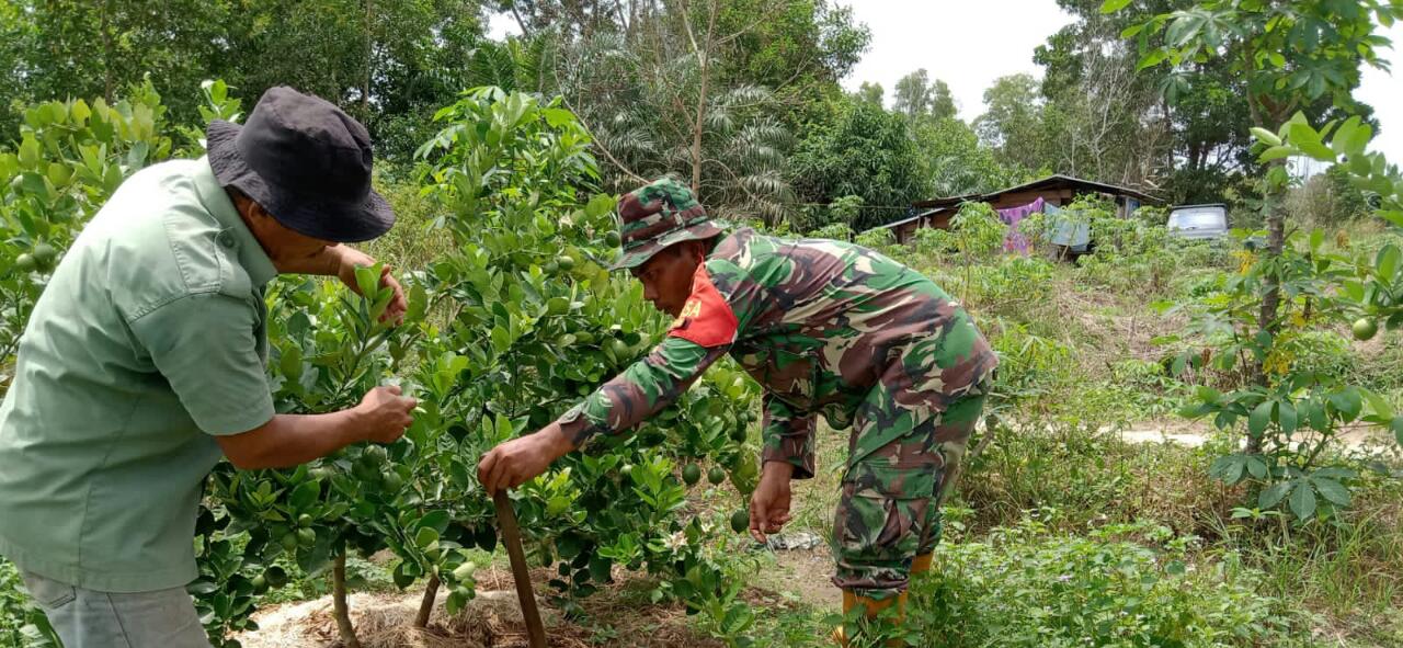 Serka Suandi Lakukan Pendampingan Karya Nyata di Kebon Jeruk Lemon