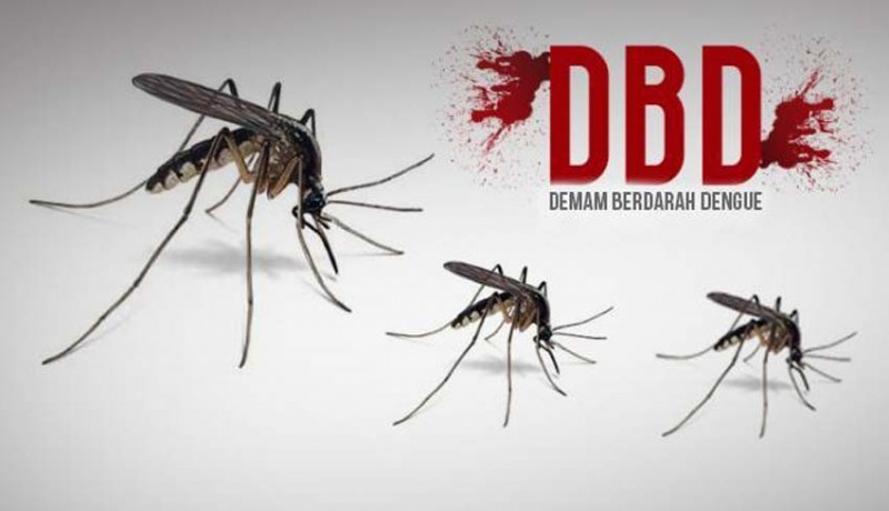Banyak Anak Terkena DBD di Pekanbaru