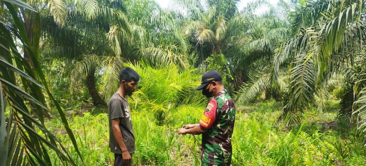 Patroli Cegah Karhutla Oleh Sertu Abu Kasim