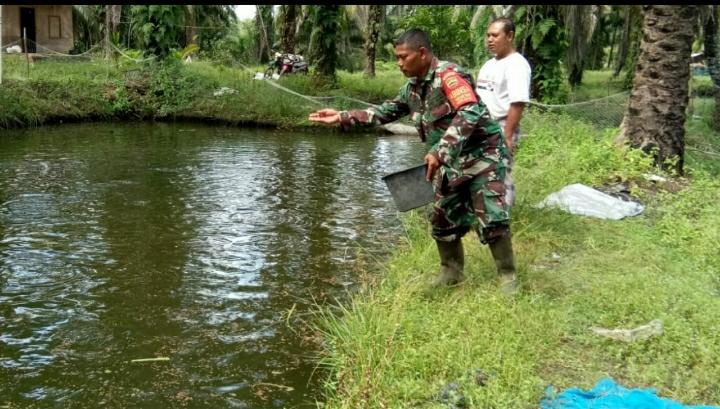 Serka Suandi Dampingi Pemilik Demplot