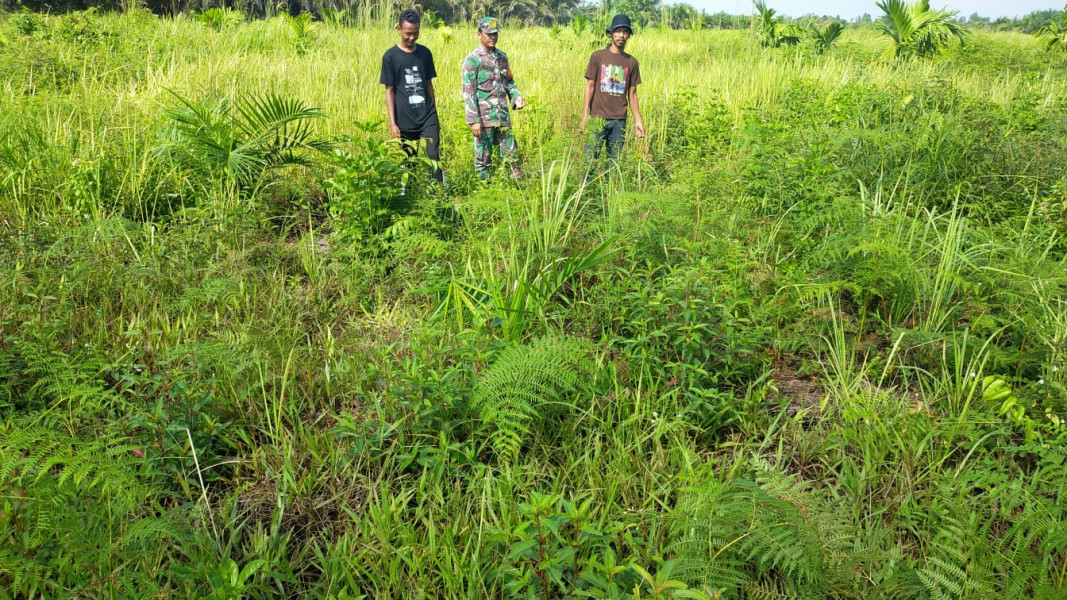 Babinsa Koramil 03 SS Patroli dan Sosialisasi Cegah Karhutla
