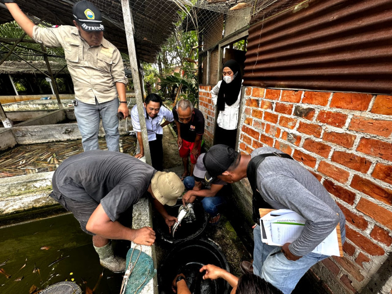 Tingkatkan Kapasitas Kelompok Binaan, PT KPI RU Dumai Adakan Pelatihan Pemijahan Ikan