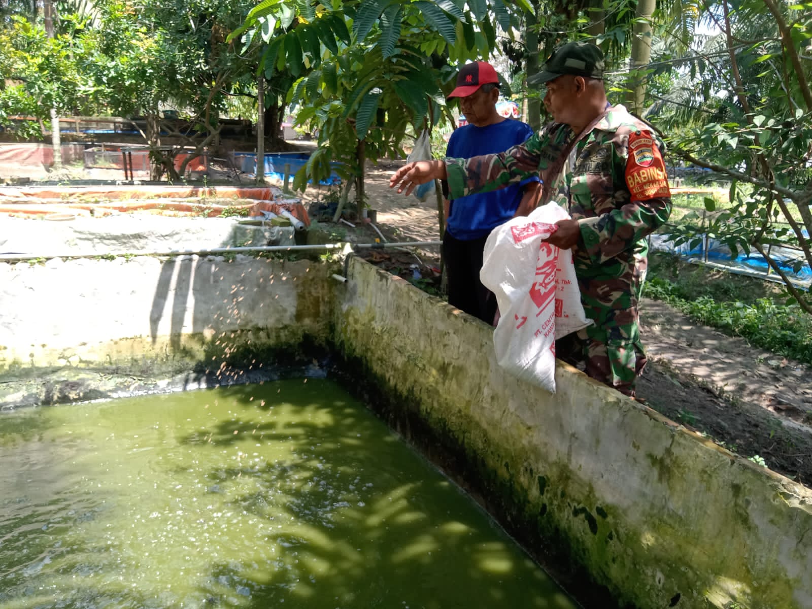 Serka Suandi Dampingi Peternak Ikan Lele