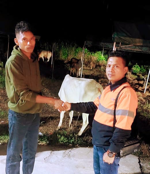 Wilmar Group Serahkan 4 Ekor Sapi dan 10 Ekor Kambing Kurban
