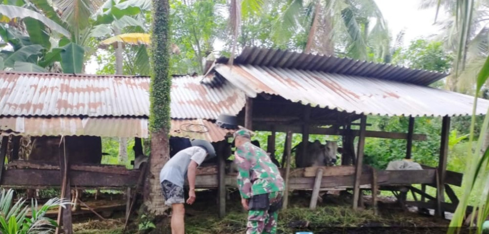 Pelda Tovani Sampaikan Beberapa Hal Terkait PMK