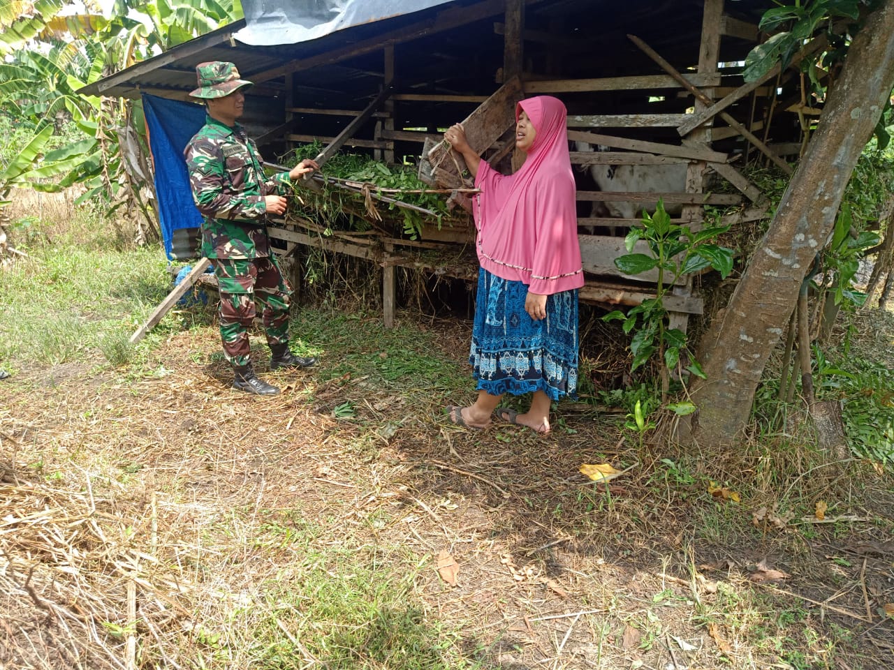 Serda Boby Rahman Laksanakan Sosialisasi dan Bimbingan Terkait PMK