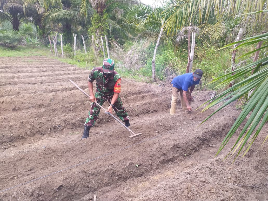 Babinsa STDI Laksanakan Sosialisasi dan Pendampingan