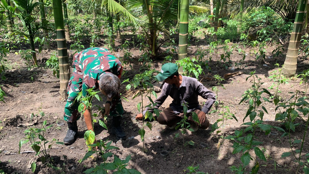 Serka Tomy Mike Laksanakan Sosialisasi Ketahanan Pangan