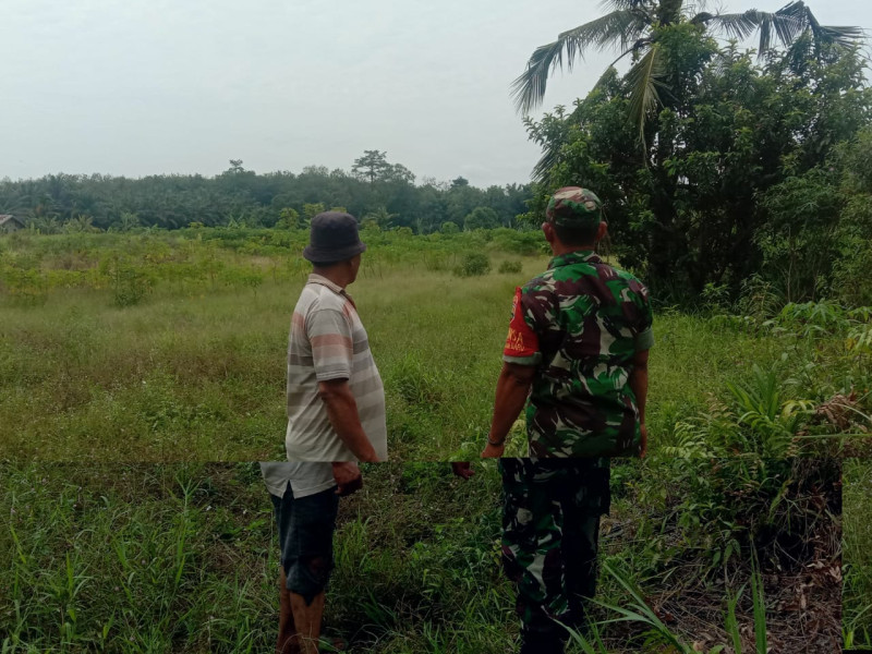 Babinsa Kodim 0320/Dumai Melaksanakan Giat Cegah Karhutla