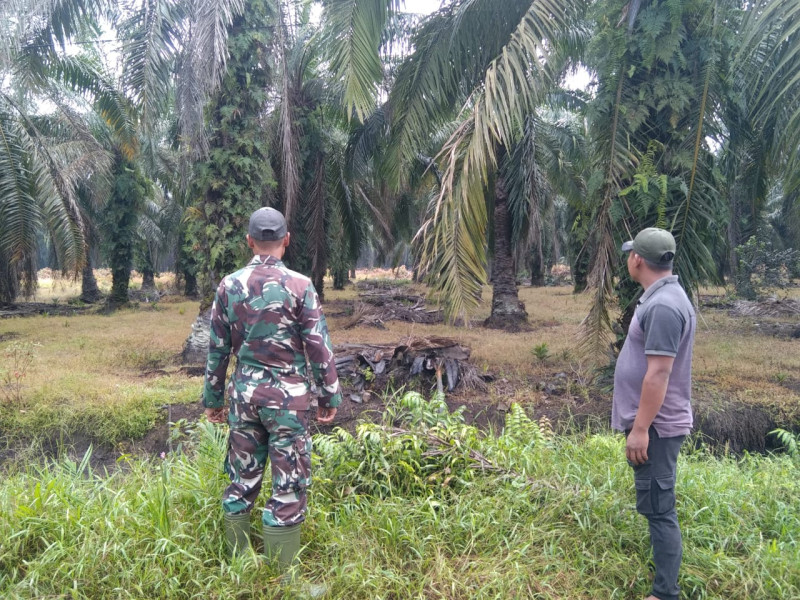 Patroli Koptu Erwan Dalam Rangka Cegah Karhutla