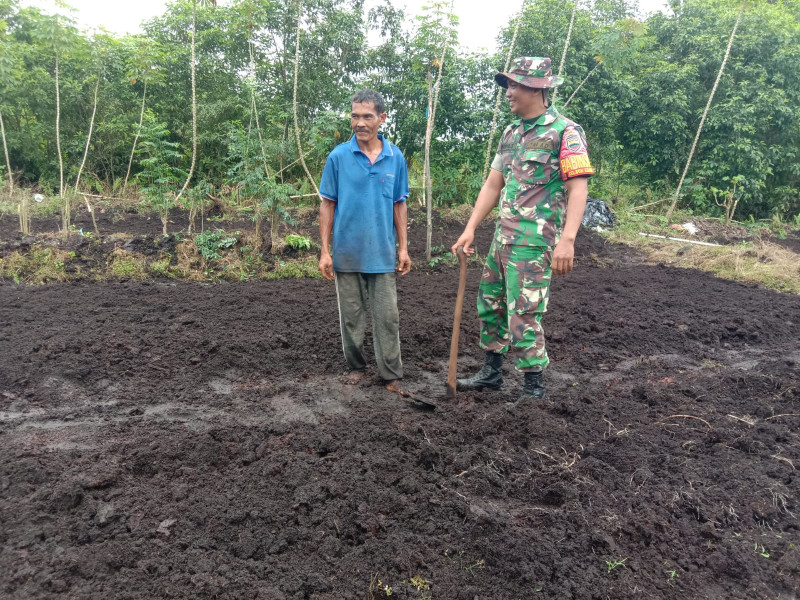 Pendampingan Kepada Petani Bayam Oleh Serda Priyo Sudarmo