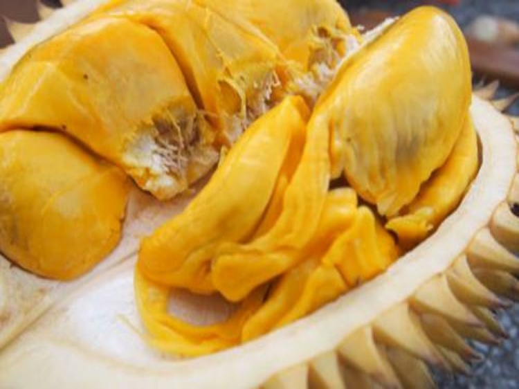 Jangan Ragu Konsumsi Durian, Ini 8 Manfaat Sehatnya