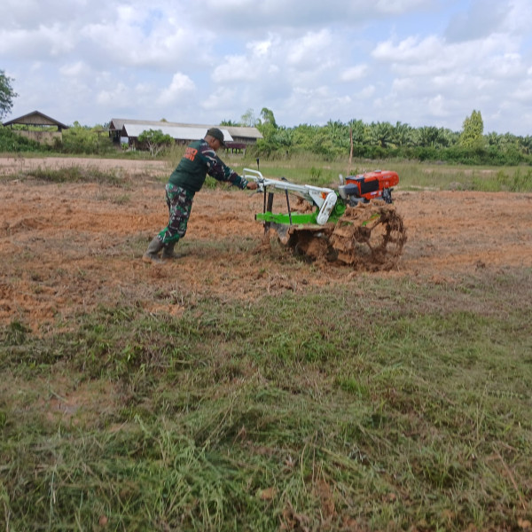Personel Kodim 0320/Dumai Terjun ke Lapangan, Persiapan Lahan Penanaman Padi Gogo