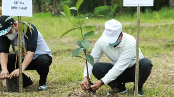 Program Riau Hijau dan Siak Hijau, Upaya Wariskan Lingkungan pada Penerus Negeri