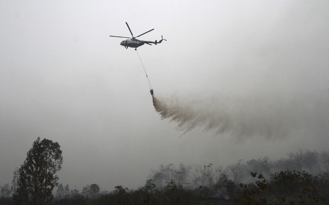 Sudah 140 Hektare Terbakar Lahan di Dumai