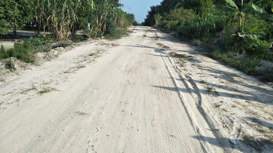 Masyarakat Jalan Lohsari Desa Air Kulim Dambakan Pengaspalan Jalan