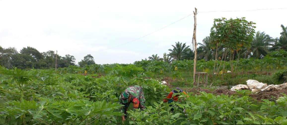 Babinsa Laksanakan Patroli dan Pendampingan Karya Nyata