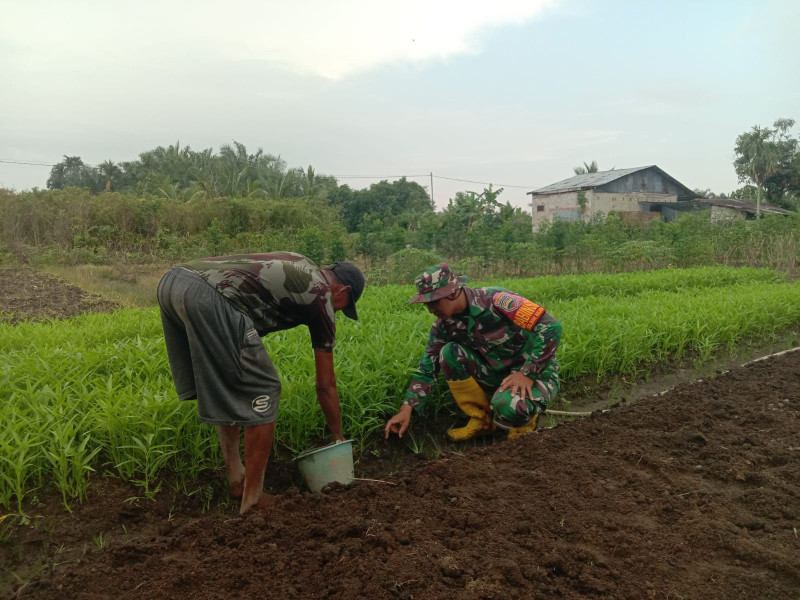 Serda Priyono Mendampingi Petani Kangkung